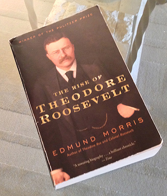 The Rise of Theodoore Roosevelt book cover